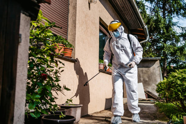 Best Insect Control  in , OH