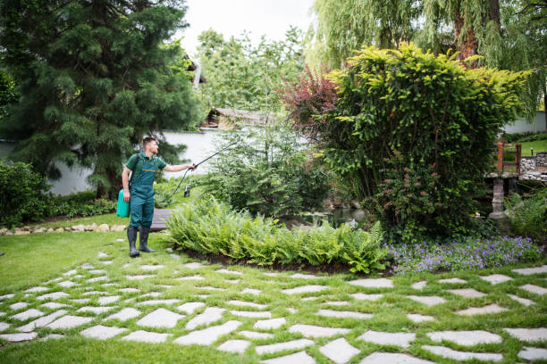 Best Affordable Pest Control Services  in , OH